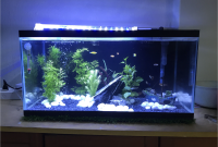 fungsi lampu uv aquarium