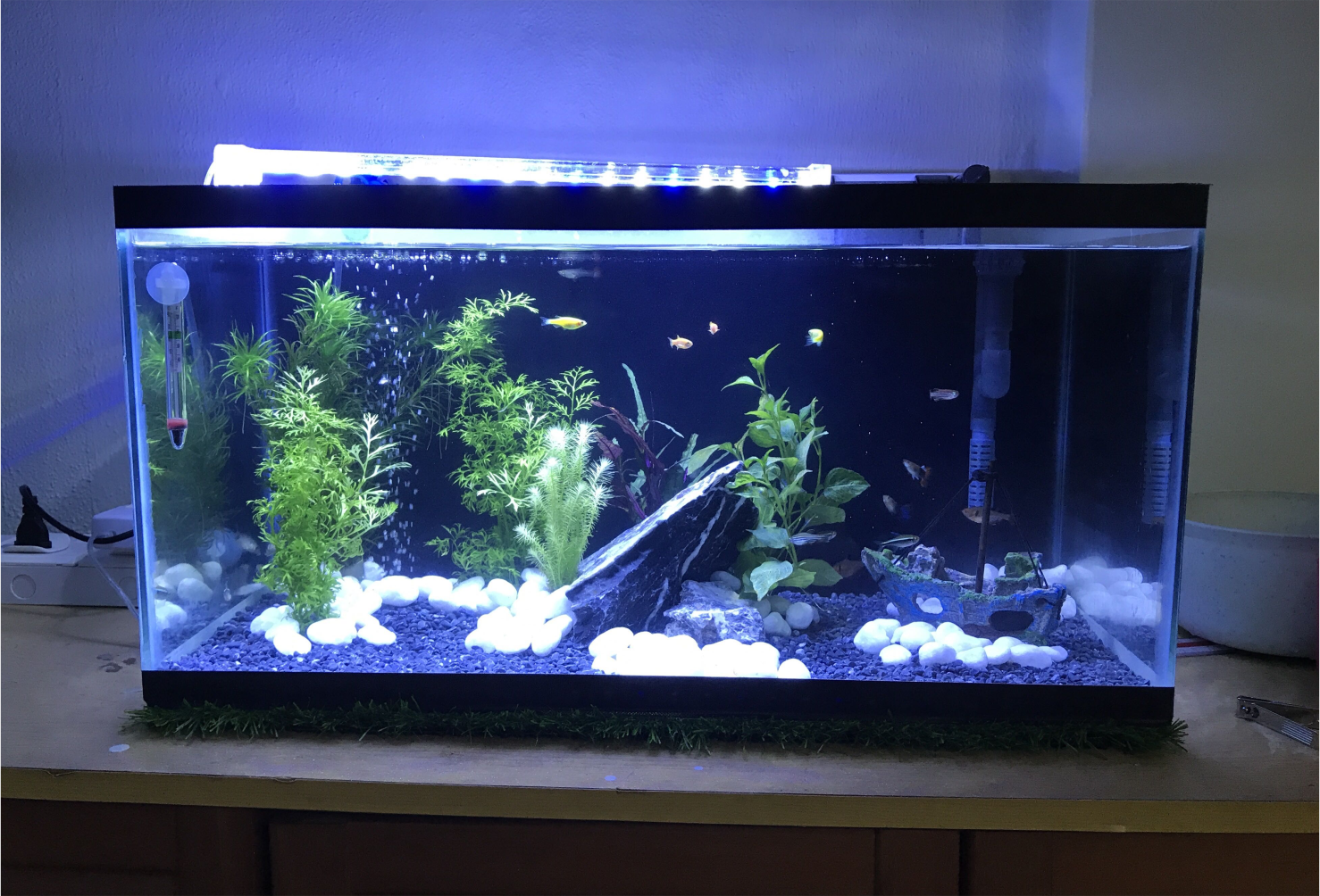 fungsi lampu uv aquarium